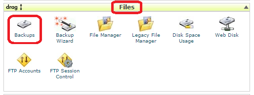 روش پشتیبانگیری از اطلاعات در Cpanel - ایرانسرور